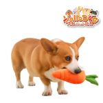 HelloDOG 玩具嚴選 胡蘿蔔耐咬磨牙發聲狗1件 (隨機款) 狗玩具 其他 寵物用品速遞