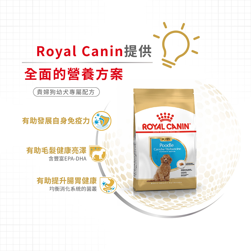 Royal Canin 狗糧 法國皇家狗糧 純種系列 貴婦狗幼犬專屬配方 貴婦幼犬糧 PDJ 3kg (2576700) (圖片5)