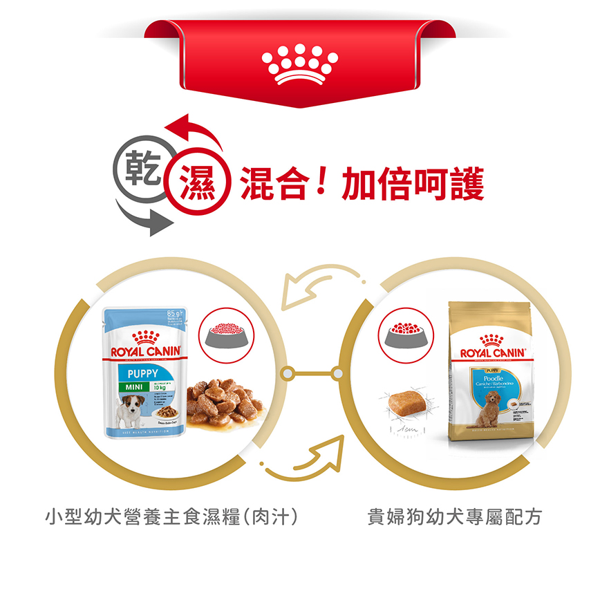 Royal Canin 狗糧 法國皇家狗糧 純種系列 貴婦狗幼犬專屬配方 貴婦幼犬糧 PDJ 3kg (2576700) (圖片7)