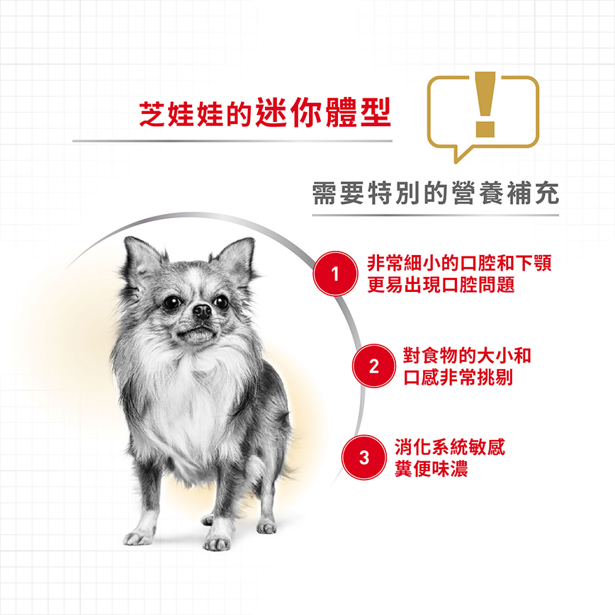 Royal Canin Dry Dog Food - Chihuahua Adult Dog 3KG (圖片4)