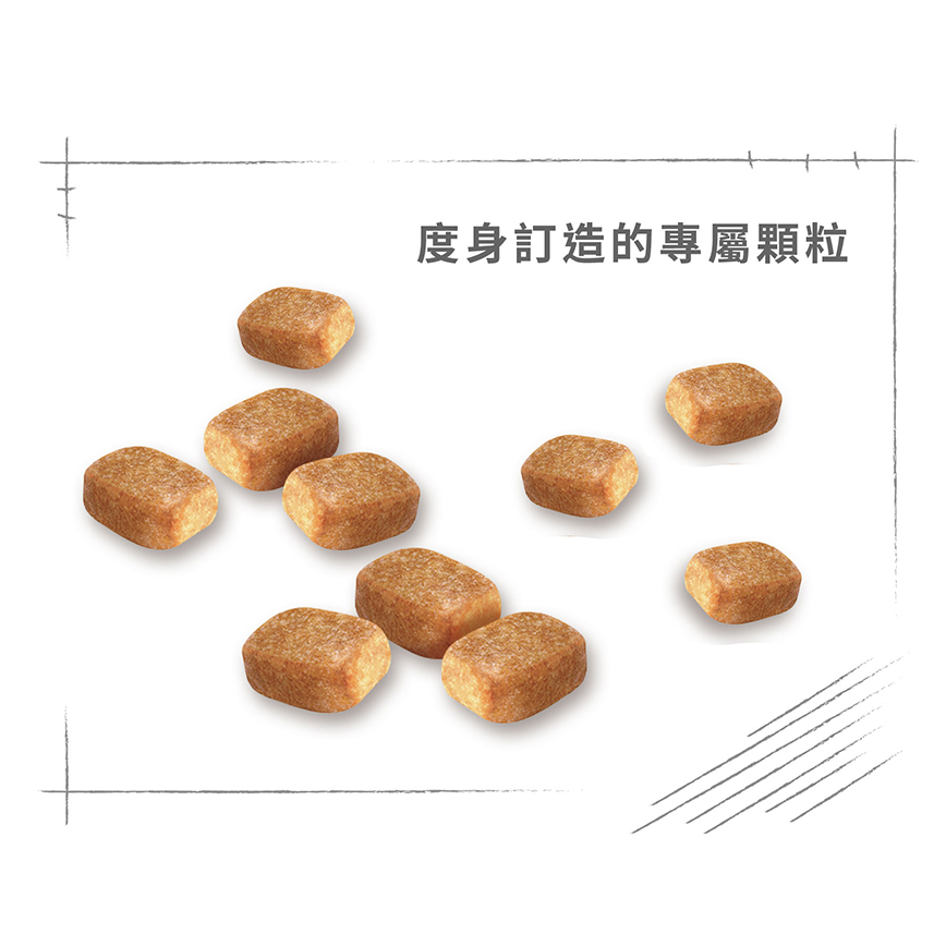 Royal Canin Dry Dog Food - Chihuahua Adult Dog 3KG (圖片6)