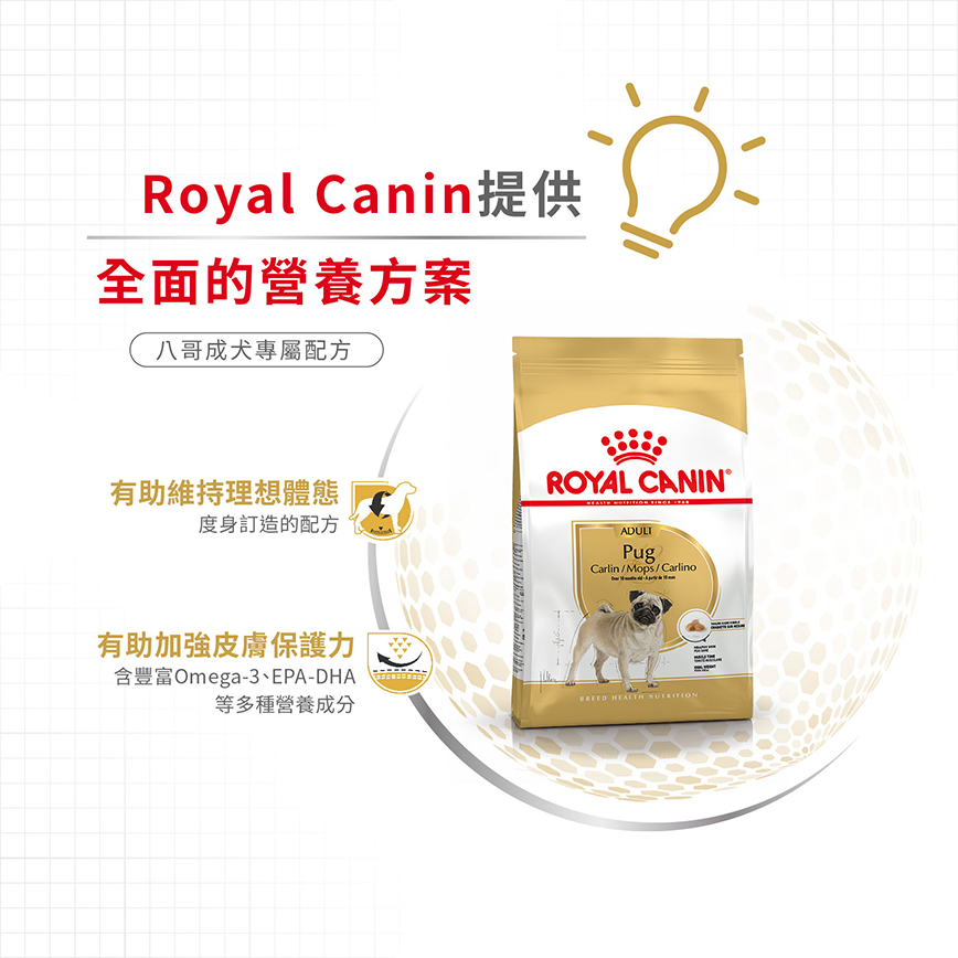 Royal Canin 狗糧 法國皇家狗糧 純種系列 八哥成犬專屬配方 PUG 3kg (2557300) (圖片5)