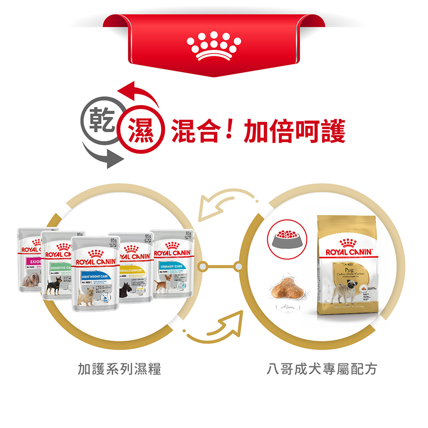 Royal Canin 狗糧 法國皇家狗糧 純種系列 八哥成犬專屬配方 PUG 1.5kg (2557000) (圖片7)
