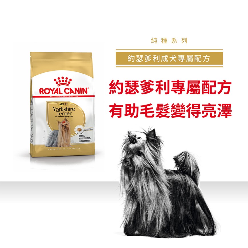 Royal Canin 狗糧 法國皇家狗糧 純種系列 約瑟爹利成犬專屬配方 約瑟爹利成犬糧 PRY28 3kg (2860800) (圖片3)