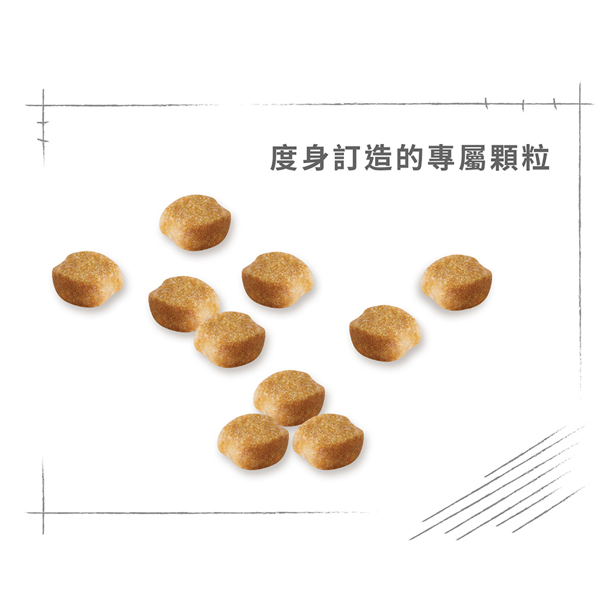 Royal Canin 狗糧 法國皇家狗糧 純種系列 約瑟爹利成犬專屬配方 約瑟爹利成犬糧 PRY28 3kg (2860800) (圖片6)