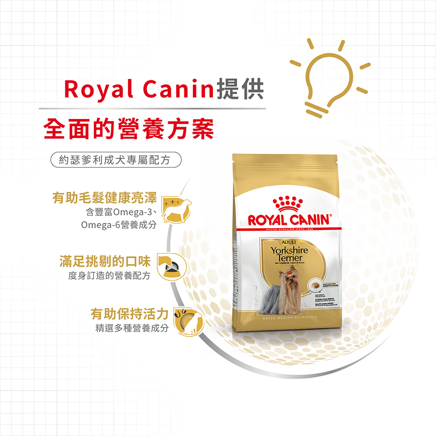 Royal Canin 狗糧 法國皇家狗糧 純種系列 約瑟爹利成犬專屬配方 約瑟爹利成犬糧 PRY28 1.5kg (2860600) (圖片5)