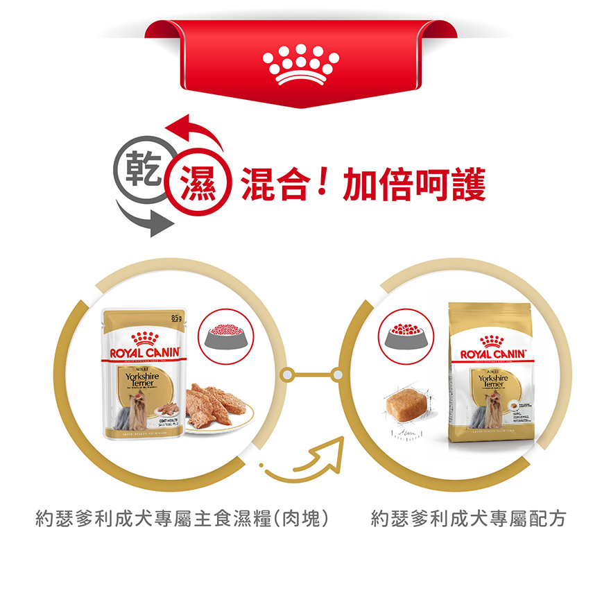 Royal Canin 狗糧 法國皇家狗糧 純種系列 約瑟爹利成犬專屬配方 約瑟爹利成犬糧 PRY28 1.5kg (2860600) (圖片7)