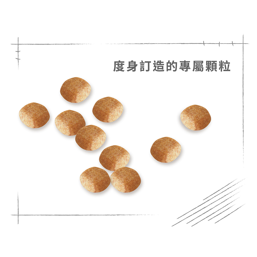 Royal Canin Dry Dog Food - Breed Miniature Schnauzer Adult Dog 3kg (圖片6)