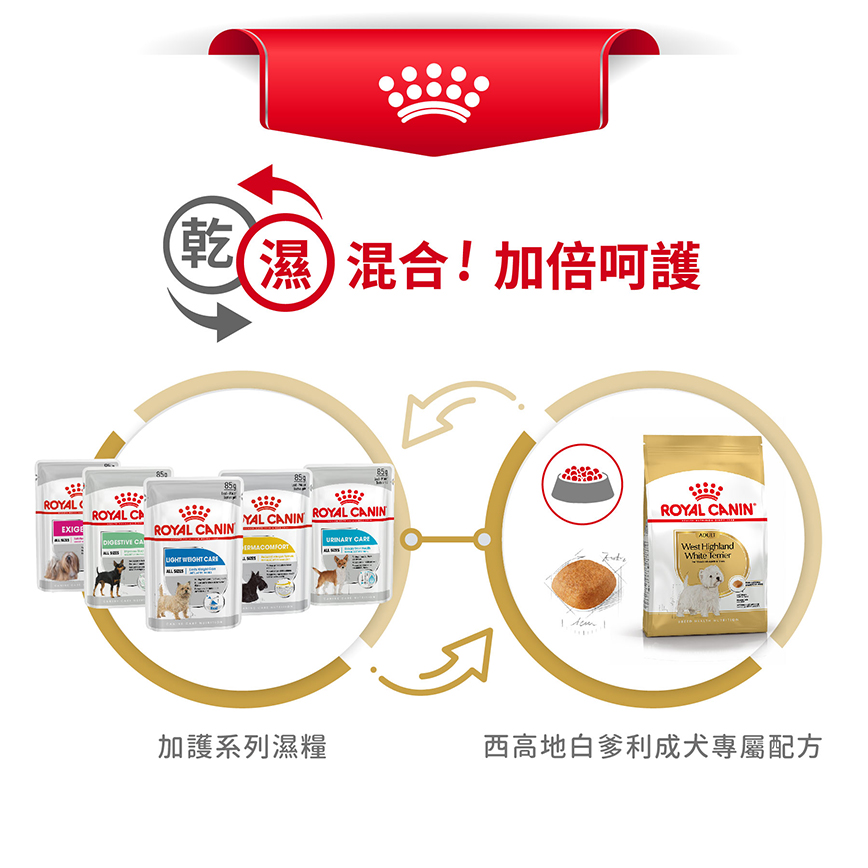Royal Canin 狗糧 法國皇家狗糧 純種系列 西高地白爹利成犬專屬配方 西高地白爹利成犬糧 WH21 1.5kg (2559300) (圖片7)