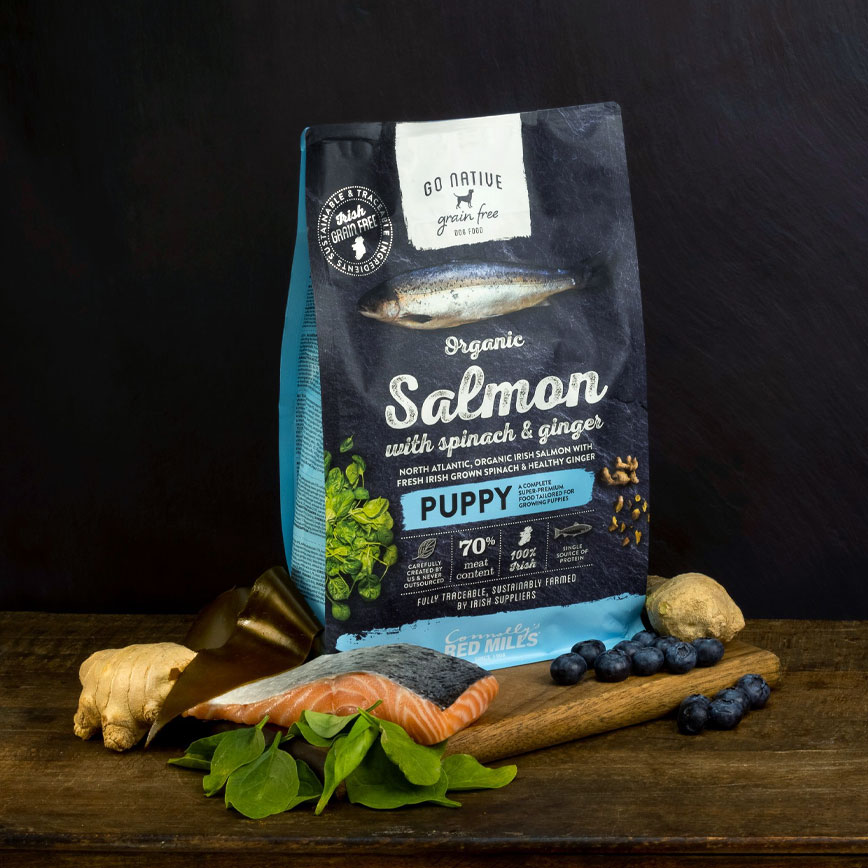 Go Native 愛爾蘭冠軍 頂級無穀物單一蛋白低敏狗糧 幼犬三文魚 4kg 中小型犬用 (圖片3)