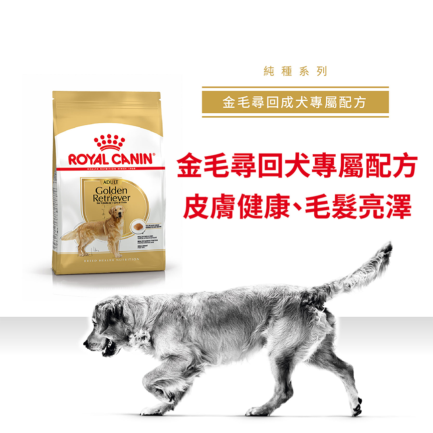 Royal Canin 狗糧 法國皇家狗糧 純種系列 金毛尋回成犬專屬配方 金毛尋回成犬糧 GOD 12kg (2553700) (圖片3)