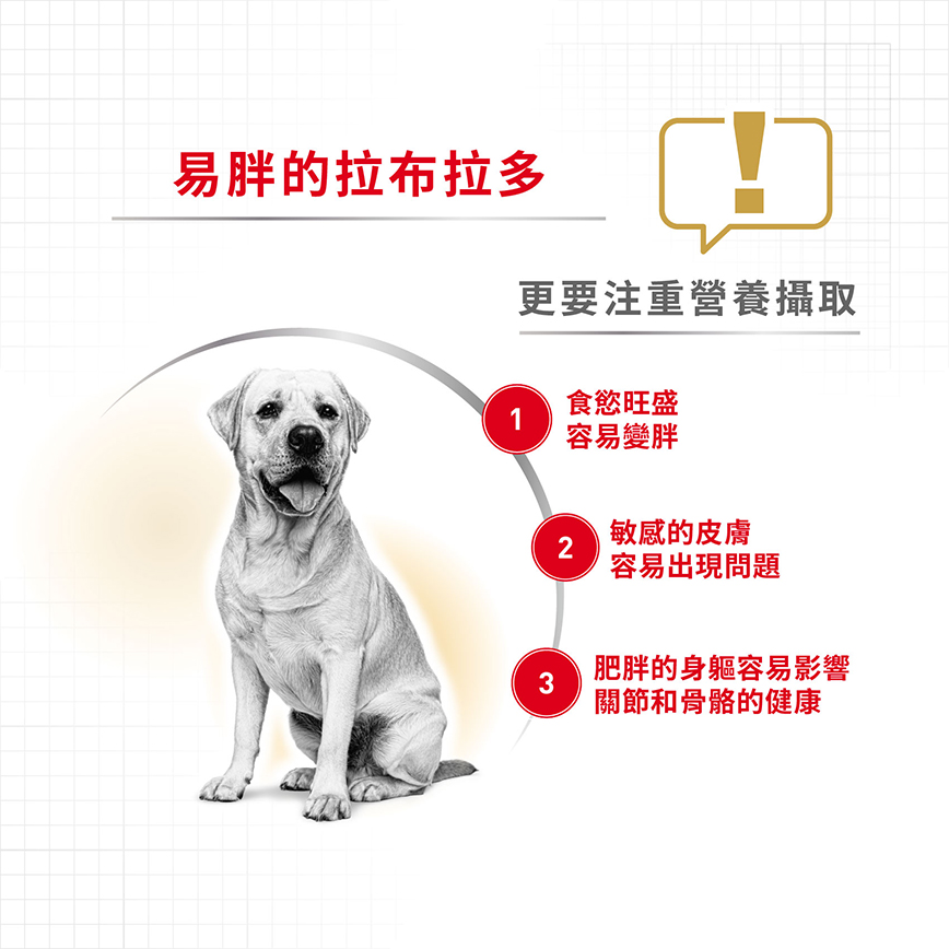 Royal Canin 狗糧 法國皇家狗糧 純種系列 拉布拉多成犬專屬配方 拉布拉多成犬糧 LBD30 12kg (2555400) (圖片4)