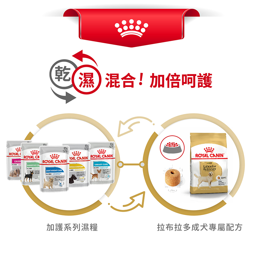 Royal Canin 狗糧 法國皇家狗糧 純種系列 拉布拉多成犬專屬配方 拉布拉多成犬糧 LBD30 12kg (2555400) (圖片7)
