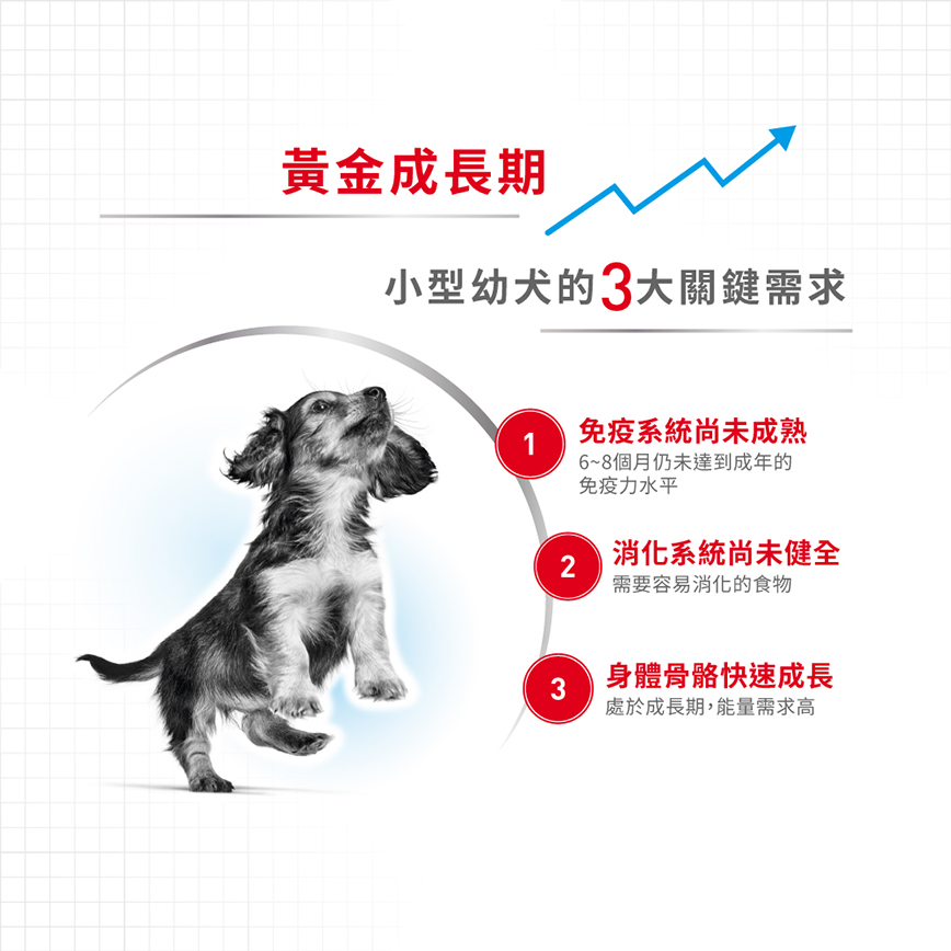 Royal Canin 狗糧 法國皇家狗糧 健康營養系列 小型幼犬營養配方 小型幼犬糧 APR33 4kg (3000040011) (圖片6)