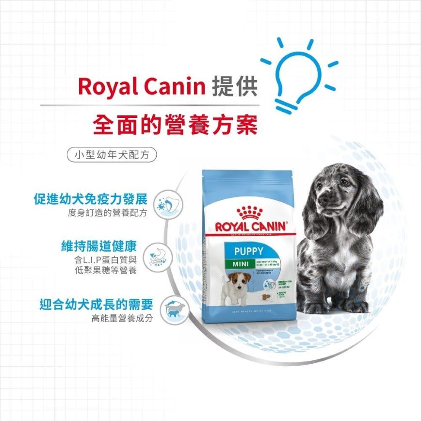 Royal Canin 狗糧 法國皇家狗糧 健康營養系列 小型幼犬營養配方 小型幼犬糧 APR33 4kg (3000040011) (圖片4)