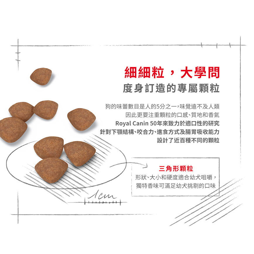 Royal Canin Dry Dog Food - Mini Puppy 2kg (圖片7)