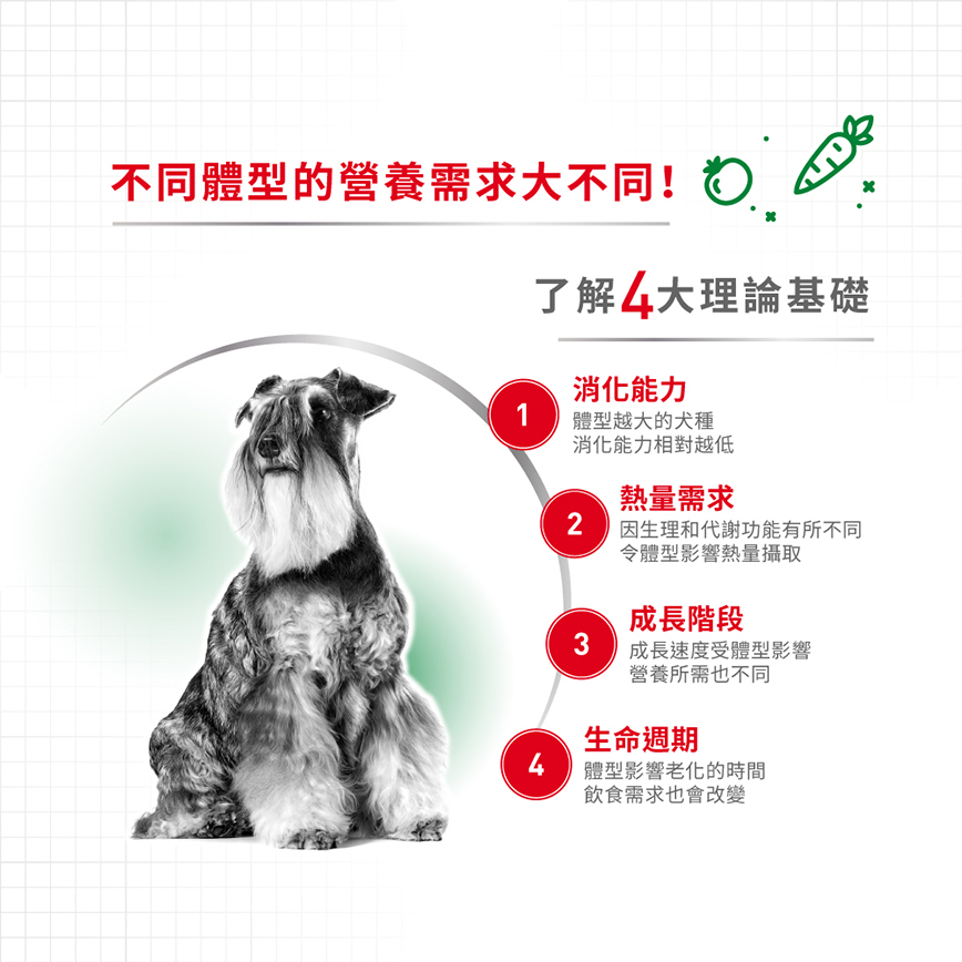 Royal Canin 狗糧 法國皇家狗糧 健康營養系列 小型成犬營養配方 小型成犬糧 PR27 8kg (圖片4)