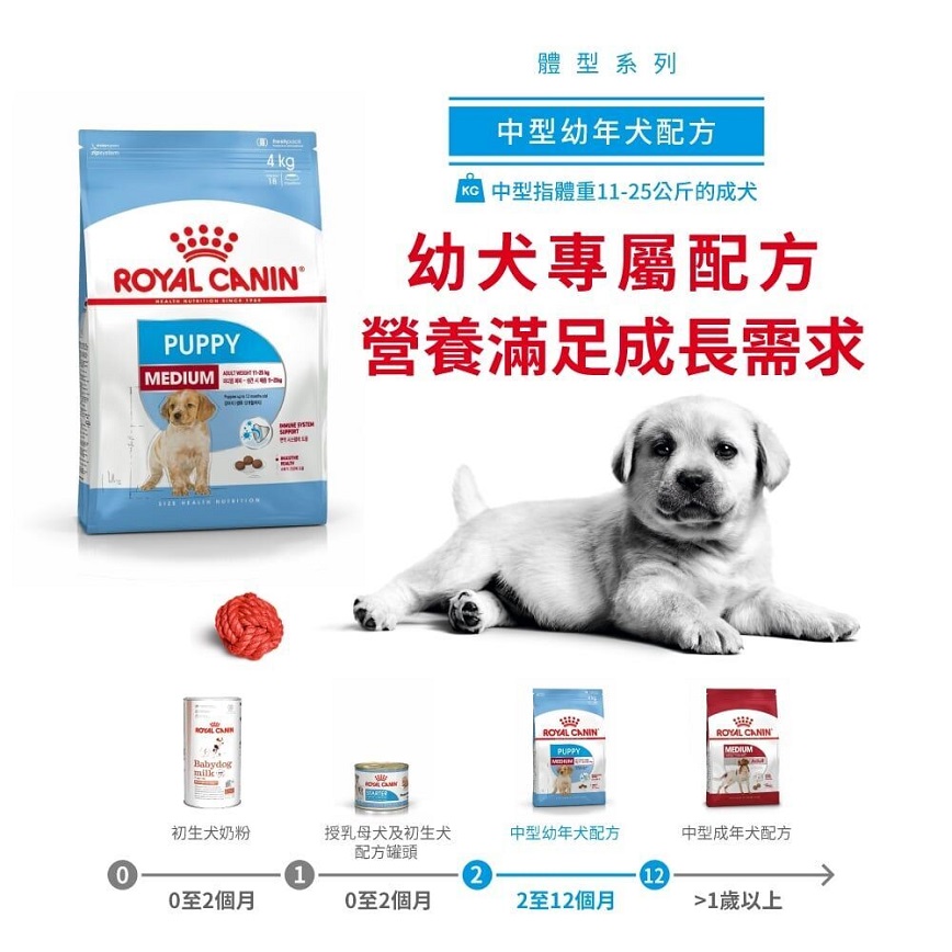 Royal Canin 狗糧 法國皇家狗糧 健康營養系列 中型幼犬營養配方 中型幼犬糧 AM32 4kg (3003040011) (圖片6)