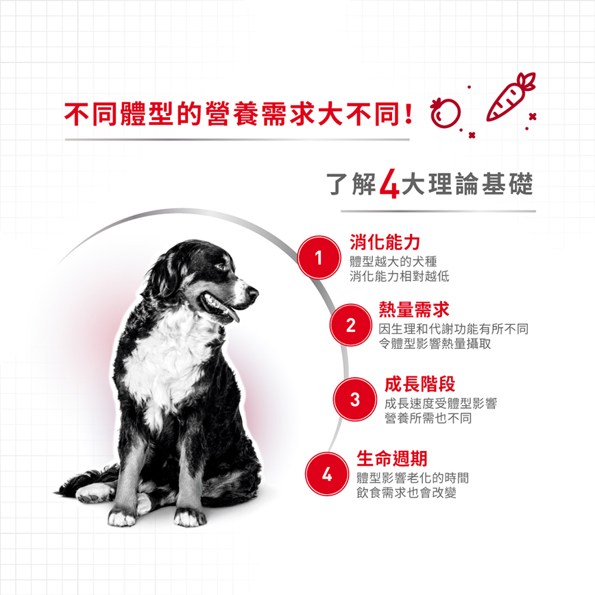 Royal Canin 狗糧 法國皇家狗糧 中型成犬營養配方 M25 15kg (圖片3)