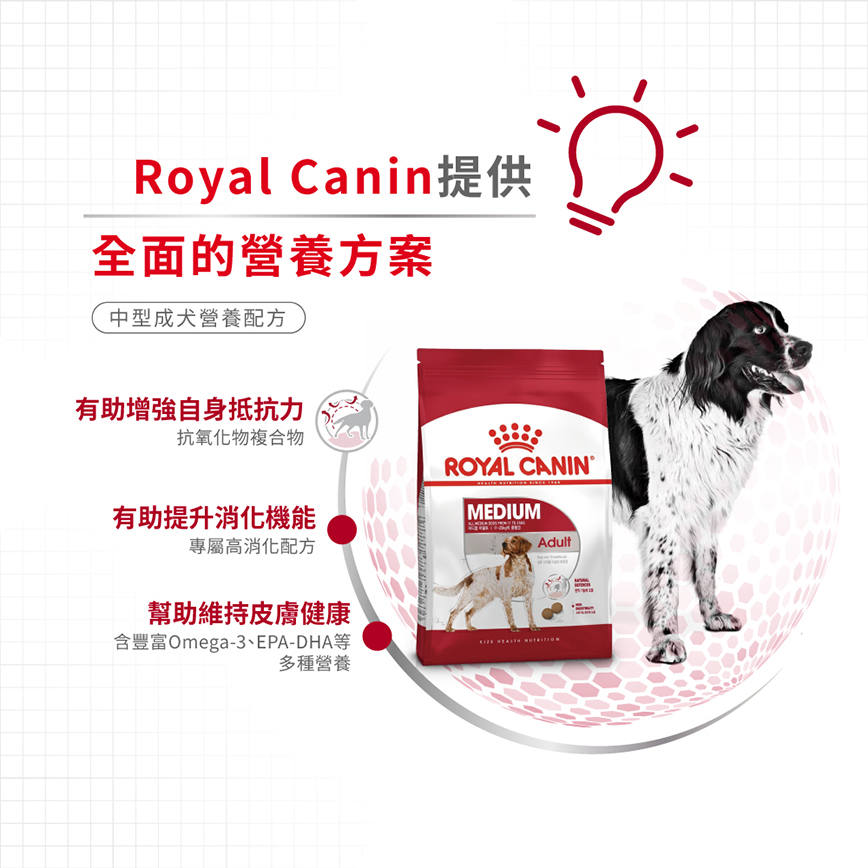 Royal Canin 狗糧 法國皇家狗糧 中型成犬營養配方 M25 15kg (圖片4)
