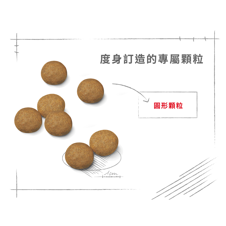 Royal Canin 狗糧 法國皇家狗糧 中型成犬營養配方 M25 15kg (圖片5)