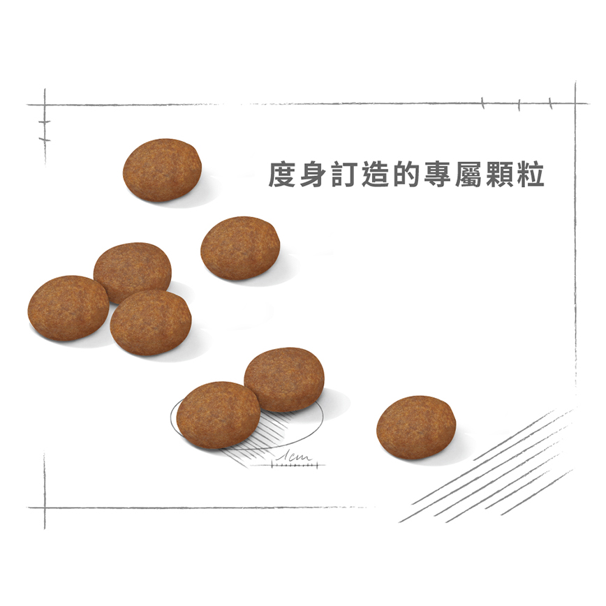 Royal Canin 狗糧 法國皇家狗糧 健康營養系列 中型成犬7+營養配方 中型老犬糧 SM25 7+ 15kg (圖片5)