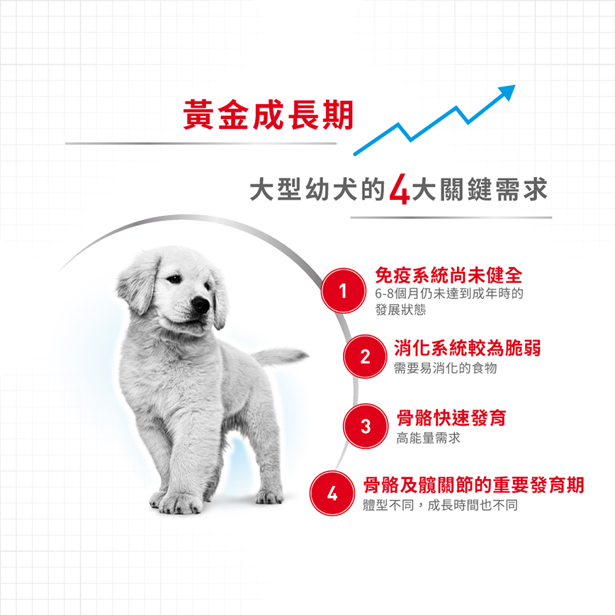 Royal Canin 狗糧 法國皇家狗糧 健康營養系列 大型幼犬營養配方 大型幼犬糧 AGR32 15kg (3006150011) (圖片7)