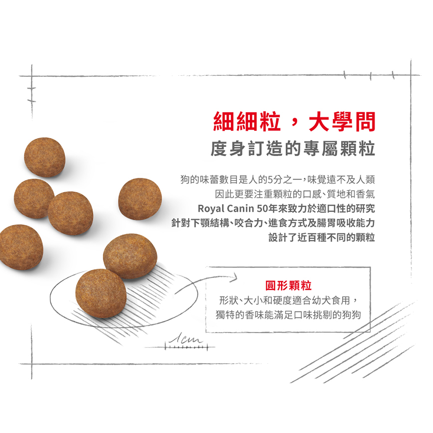 Royal Canin 狗糧 法國皇家狗糧 健康營養系列 大型幼犬營養配方 大型幼犬糧 AGR32 15kg (3006150011) (圖片8)