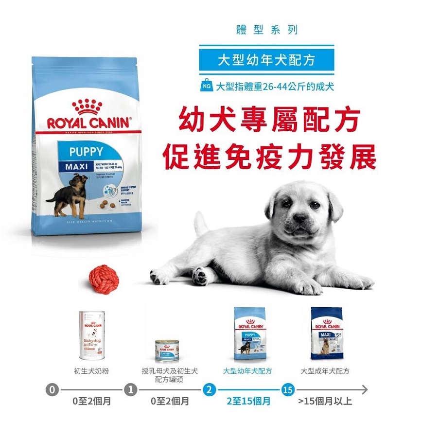 Royal Canin 狗糧 法國皇家狗糧 健康營養系列 大型幼犬營養配方 大型幼犬糧 AGR32 15kg (3006150011) (圖片4)