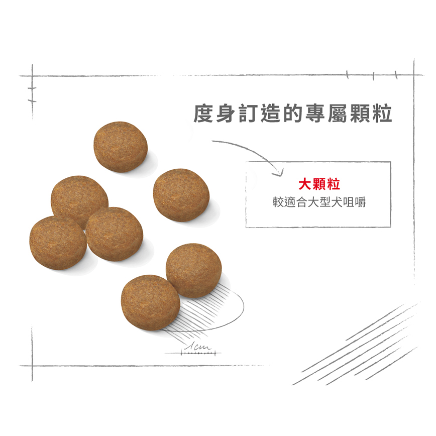 Royal Canin 狗糧 法國皇家狗糧 大型成犬營養配方 GR26 15kg (圖片6)