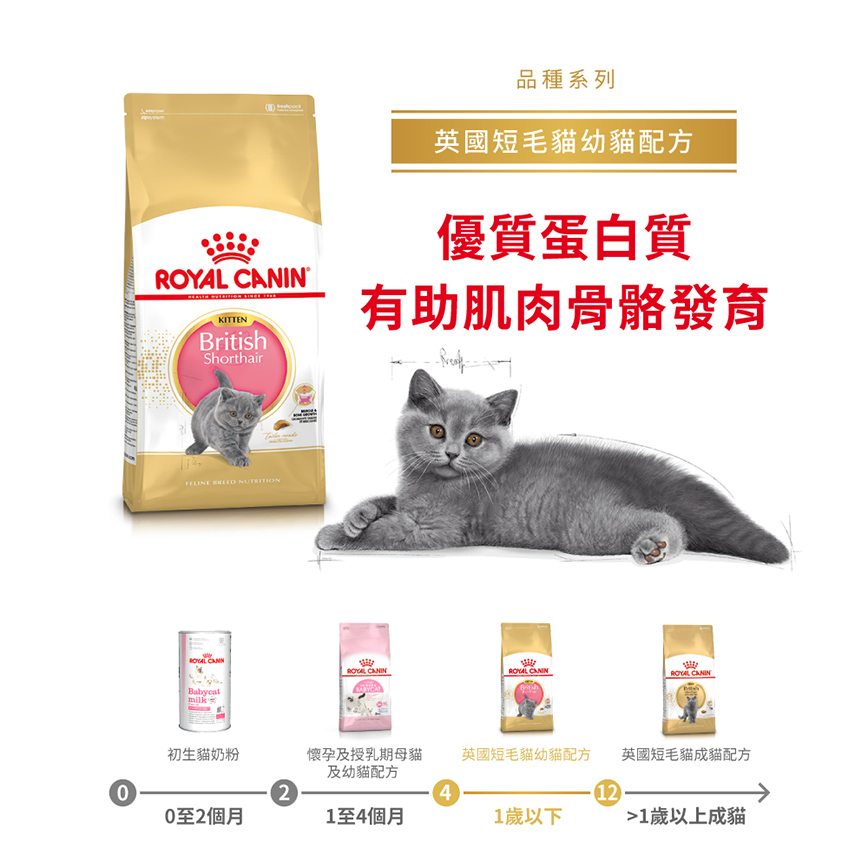 Royal-Canin-法國皇家/貓糧-貓乾糧/3021