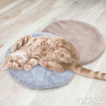 寵物圓圈毛毛墊 寵物床墊 (款式隨機) 貓犬用日常用品 寵物床墊用品 寵物用品速遞