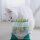 MOBOLI-小森林袋裝貓草-mo2d-木天蓼-貓草-寵物用品速遞