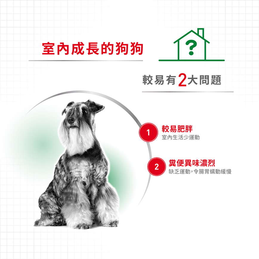 Royal Canin 狗糧 法國皇家狗糧 健康營養系列 室內小型成犬營養配方 室內小型成犬配方 ILA 1.5kg (圖片4)