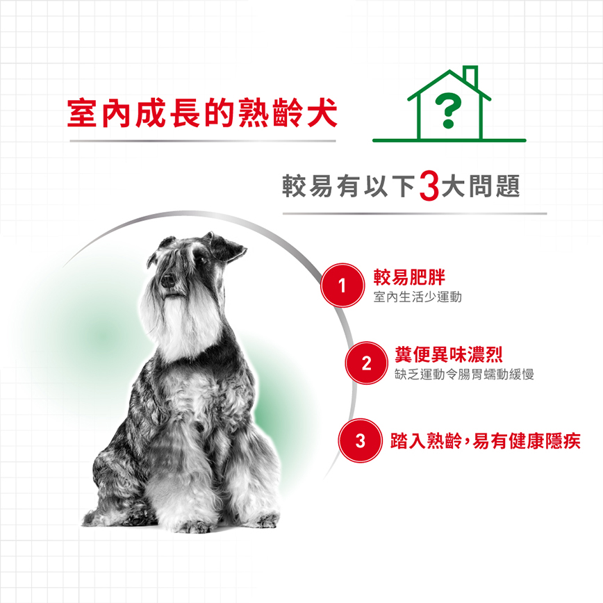 Royal Canin 狗糧 法國皇家狗糧 健康營養系列 室內小型老犬營養配方 室內小型老犬配方 ILS 1.5kg (圖片5)