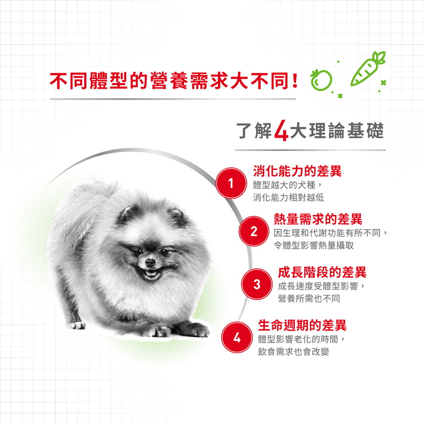 Royal Canin 狗糧 法國皇家狗糧 健康營養系列 超小型老犬12+營養配方 XSA 12+ 1.5kg (圖片5)
