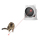 BENTOPAL-LED智能激光玩具球-付吸盤-P32-其他-寵物用品速遞