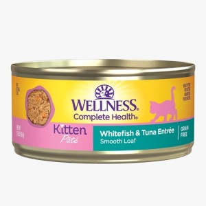 貓罐頭-貓濕糧-WELLNESS-貓罐頭-Complete-Health-無穀物-Pate營養系列-幼貓成長配方-海魚-3oz-85g-9023-WELLNESS-寵物用品速遞