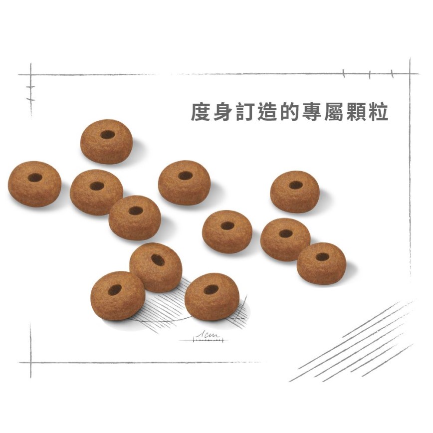 Royal Canin - Maxi Adult Dog Food (Light Weight Care) - 12KG (圖片6)