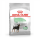 Royal-Canin法國皇家-Royal-Canin皇家-小型犬腸胃敏感系列-DGMI-3kg-Royal-Canin-法國皇家-寵物用品速遞