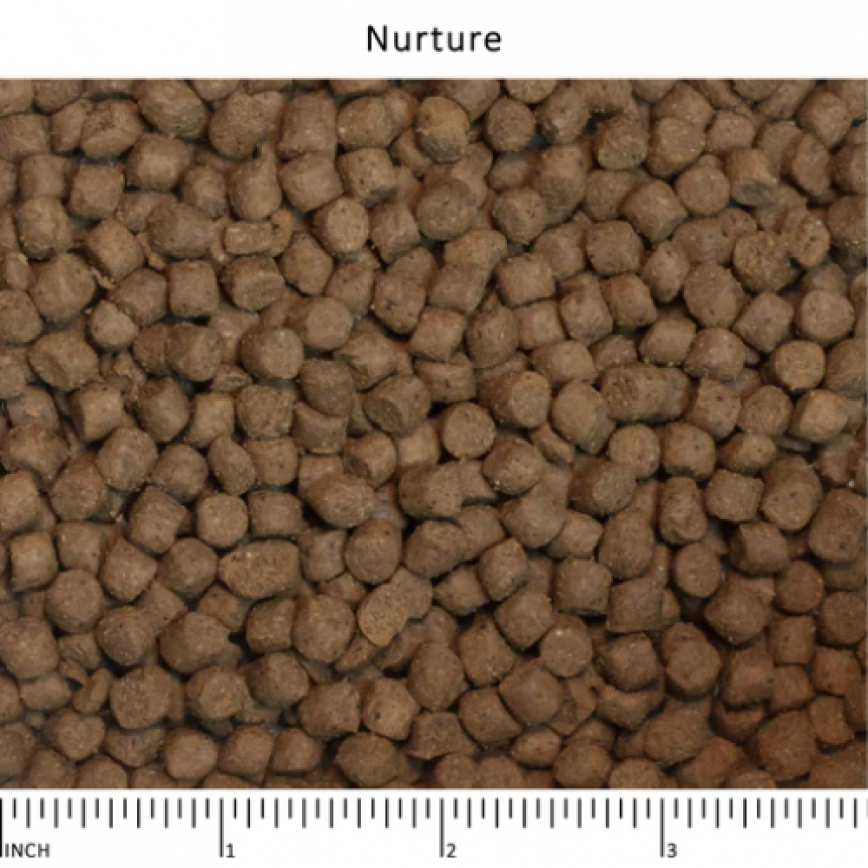 Wysong 美國威森 Original Diets 原始飲食系列 NURTURE™ 納初 38%蛋白幼貓初乳乾糧 5lb (W38) (圖片4)