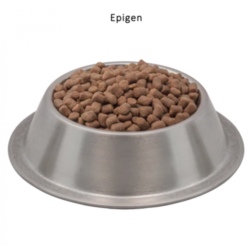 Wysong 美國威森 Starch Free 真正無澱粉系列 EPIGEN™ 愛寶健 60%蛋白無澱粉貓狗糧 5lb (貓犬用) (W60) (圖片3)