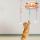 貓咪玩具-HelloDOG-高級毛絨系列-2米自嗨彈簧兔毛球貓玩具1件-隨機款-其他-寵物用品速遞
