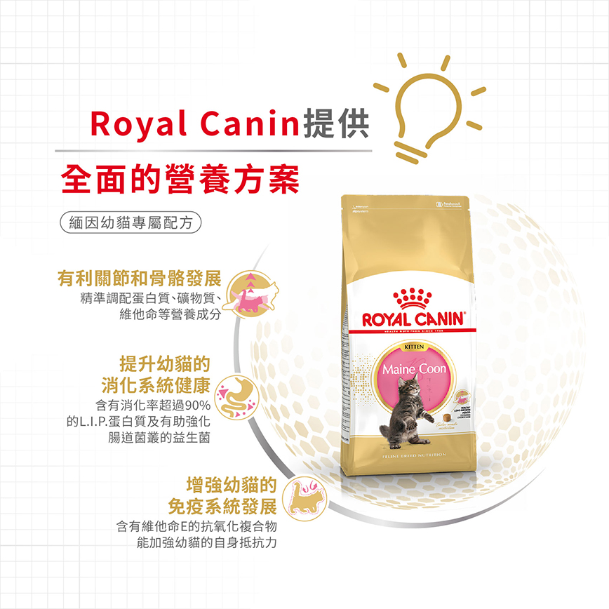 Royal Canin 貓糧 法國皇家貓糧 純種系列 緬因幼貓專屬配方 KMCO 2kg (R448637) (圖片5)