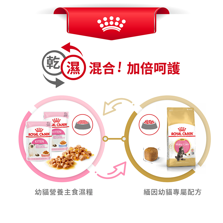 Royal Canin 貓糧 法國皇家貓糧 純種系列 緬因幼貓專屬配方 KMCO 2kg (R448637) (圖片7)