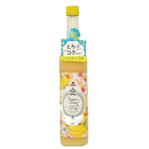 梅酒-Plum-Wine-中田食品-日本紀州-香蕉姬とろこく-香蕉梅酒-500ml-酒-清酒十四代獺祭專家