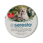 Bayer Seresto Cat & Small Dog Collar 貓犬用保健用品 其他 寵物用品速遞