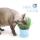 貓咪保健用品-Aduck-Catnip-DIY-種植天然吐毛球小麥草套裝-貓咪去毛球-寵物用品速遞