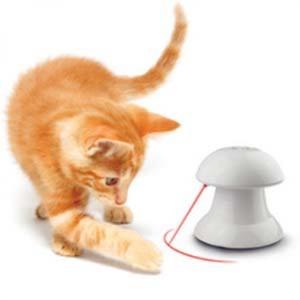 貓咪玩具-懶惰貓奴專用-紅外線座地燈趣味逗貓玩具-貓貓-寵物用品速遞