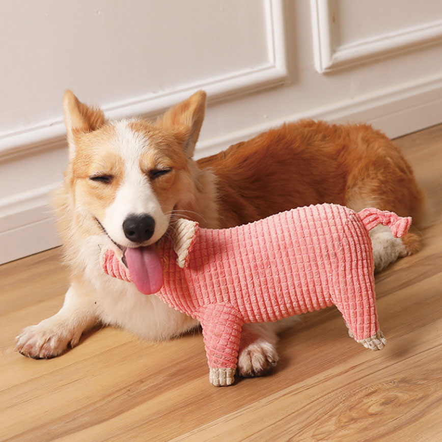 HelloDOG 狗玩具 玩具嚴選 發聲耐咬可愛毛絨豬 顏色隨機 (圖片4)